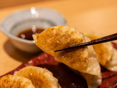 gyoza and sake tokyo