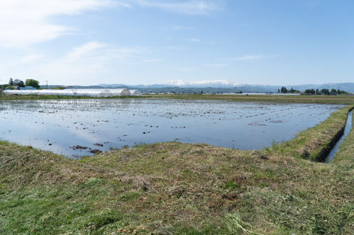 大和川ファーム風景